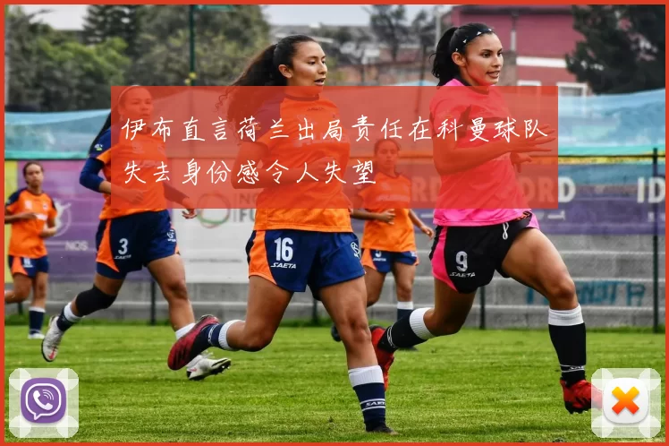 伊布直言荷兰出局责任在科曼球队失去身份感令人失望