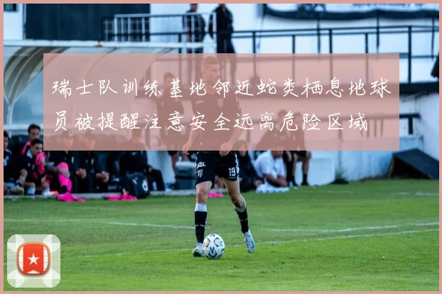 瑞士队训练基地邻近蛇类栖息地球员被提醒注意安全远离危险区域