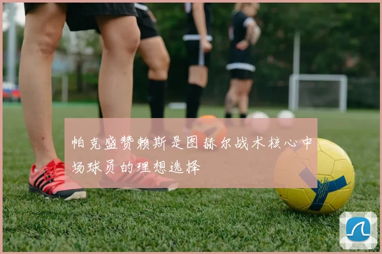 帕克盛赞赖斯是图赫尔战术核心中场球员的理想选择